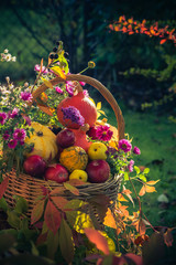 Season garden basket fruit gifts autumn