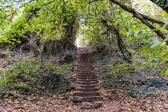 Escalier en pierre dans la forêt en automne