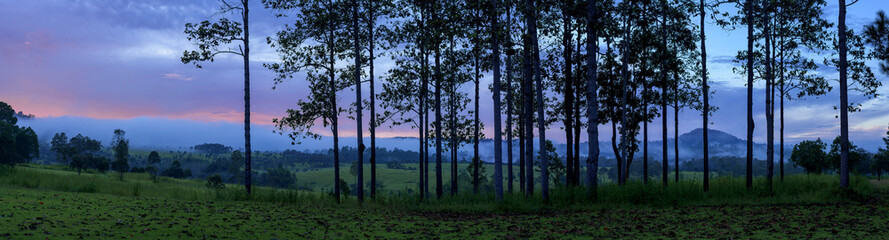 Wide panoramic view of tree and mountains national park, Thailand.