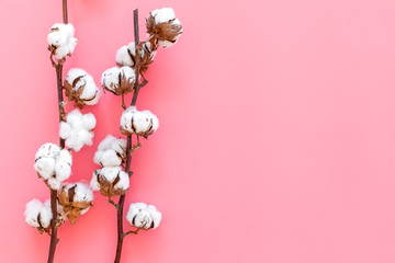 Cotton source. Collect cotton. Cotton plant with white flowers, natural view on pink background top view copy space