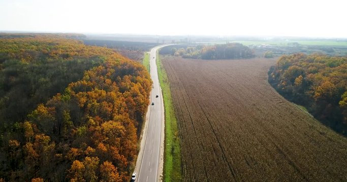 Aerial view of road in autumn forest at sunset. Amazing landscape with rural road, trees with red and orange leaves in a day near the corn field.