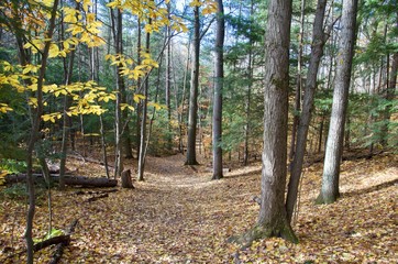 The beautiful fall colours at Ardagh Bluffs of Barrie, Ontario, Canada