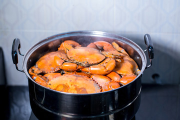 Steamed crab in pot.  live crabs in a pot. steaming shanghai hairy crabs, chinese cuisine. Steamed crab, Chinese seafood stalls.