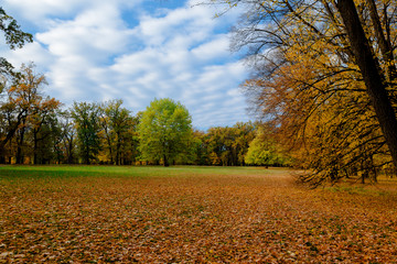 autumn park landscape design