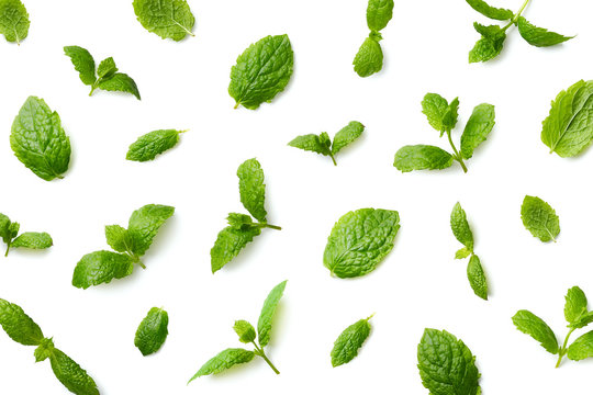 Fototapeta Pattern of mint leaves