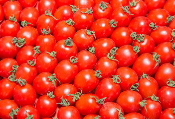 tomatoes