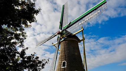 Holländische Windmühle im Sonnenlicht