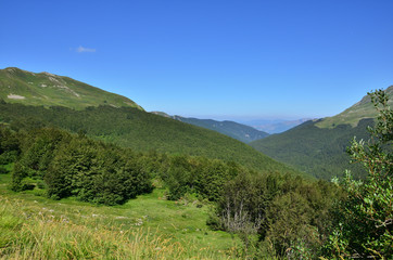 Naklejka premium Green mountains