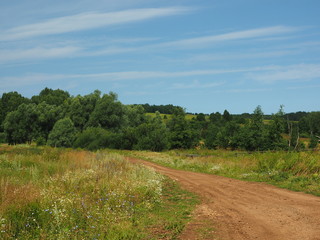 Field road. Russian summer nature. Russia, Ural, Perm region