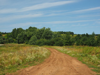 Fototapeta na wymiar Field road. Russian summer nature. Russia, Ural, Perm region