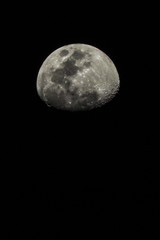 moon on black background vertically