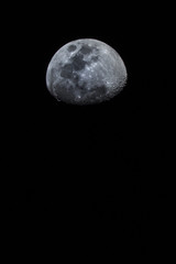 moon on black background vertically