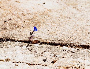 Between a rock and a hard place