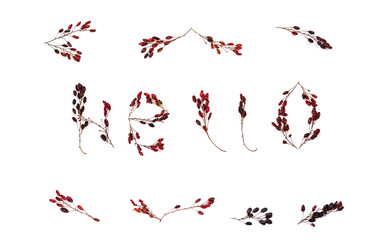 word hello in frame made of barberry twigs on a white background