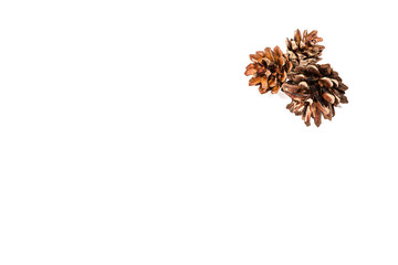 brown fir cone on a white background on New Year's Eve