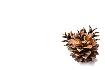Naklejka na ściany i meble brown fir cone on a white background on New Year's Eve