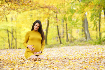 Naklejka na ściany i meble Beautiful pregnant woman kneeling in autumn park, holding stomach and smiling at camera. Copy space 