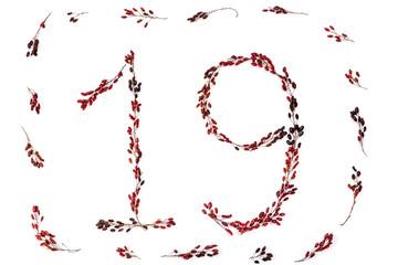 number nineteen is depicted with barberry twigs