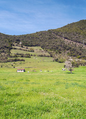 Mountains of Asturias in Spain