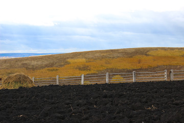 Garden autumn in the village