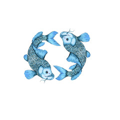 Watercolor isolated illustration of koi fish