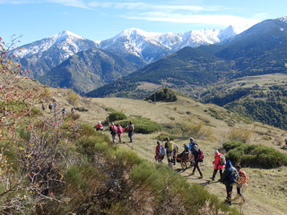 Randonnée solidaire pour l'aide de personne handicapée en montagne avec un fauteuil joelette