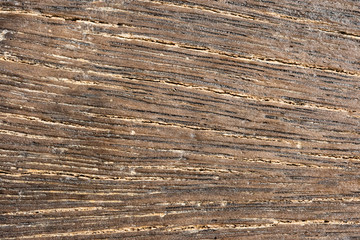 Wood patterned background on space