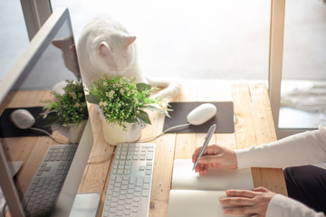 Hands of a Business woman is writing book as notepad or Take notes on Her wooden table desk  ....