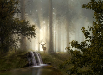 Waldgeheimnisse © Hanna Gottschalk