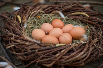 A pile of eggs in the hay in the nest