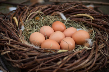 A pile of eggs in the hay in the nest