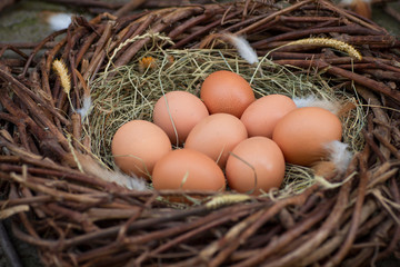 A pile of eggs in the hay in the nest