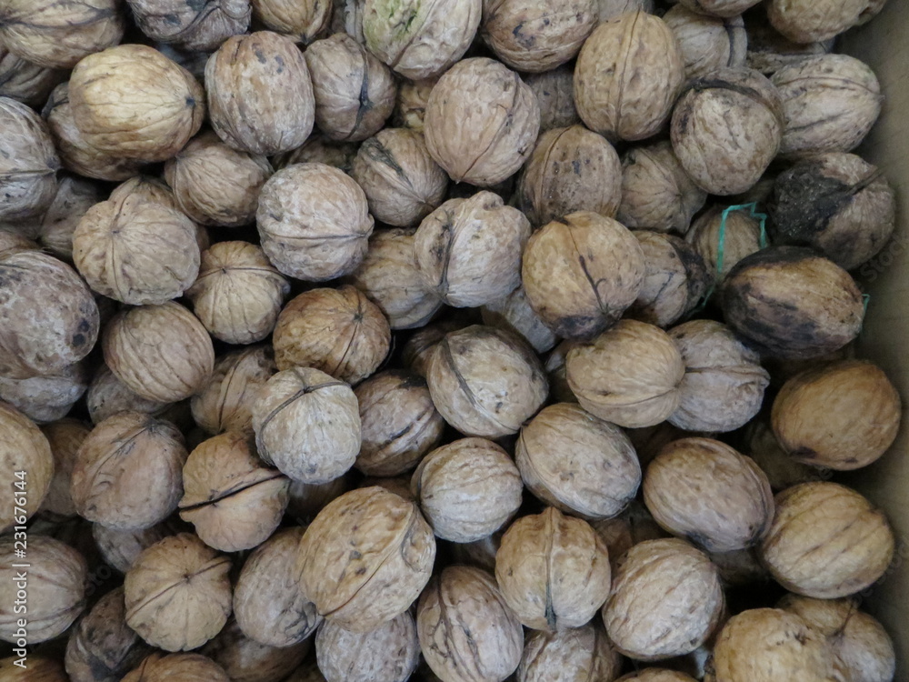 Wall mural walnuts on a wooden background