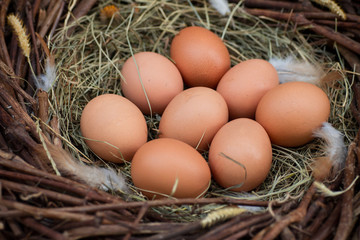 A pile of eggs in the hay in the nest