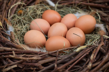 A pile of eggs in the hay in the nest