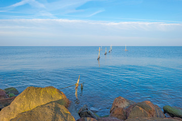 The shore of a lake in sunlight at fall