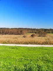 土手から見る秋の江戸川河川敷風景