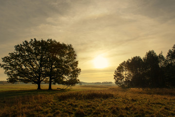 Fototapeta na wymiar Ein wundervoller Sonnenaufgang mit einem Halo Effekt um die Sonne. Konzept: Landschaften oder Natur 101/5000