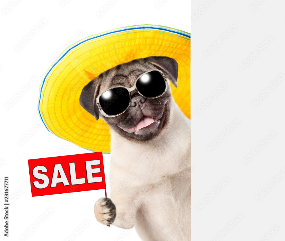 Wall mural funny dog with sunglasses and summer hat holding sales symbol behind white banner. isolated on white