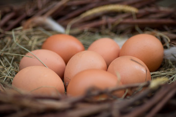 A pile of eggs in the hay in the nest