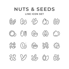 Set line icons of nuts and seeds