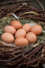 A pile of eggs in the hay in the nest
