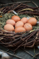 A pile of eggs in the hay in the nest