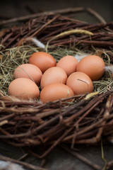 A pile of eggs in the hay in the nest