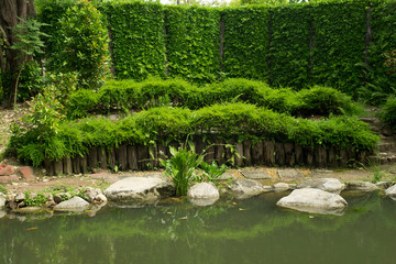 Landscape of water and tree. Background and texture of nature.