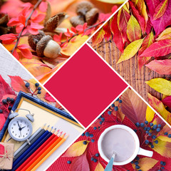 Naklejka na ściany i meble Autumn creative collage of photos. Autumn concept with a central main color