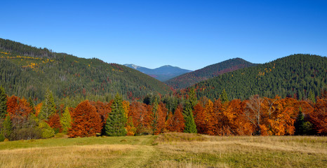 Beautiful autumn mountain landscape with bright trees. Carpathian, Ukraine, Europe.