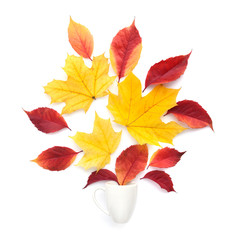 Creative arrangement autumn leaves and coffee cup on a white background. Autumn concept.