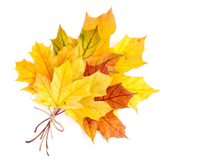Bouquet of autumn leaves isolated on a white background. Top view.