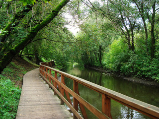 Planked footway through a shady city park  along the river